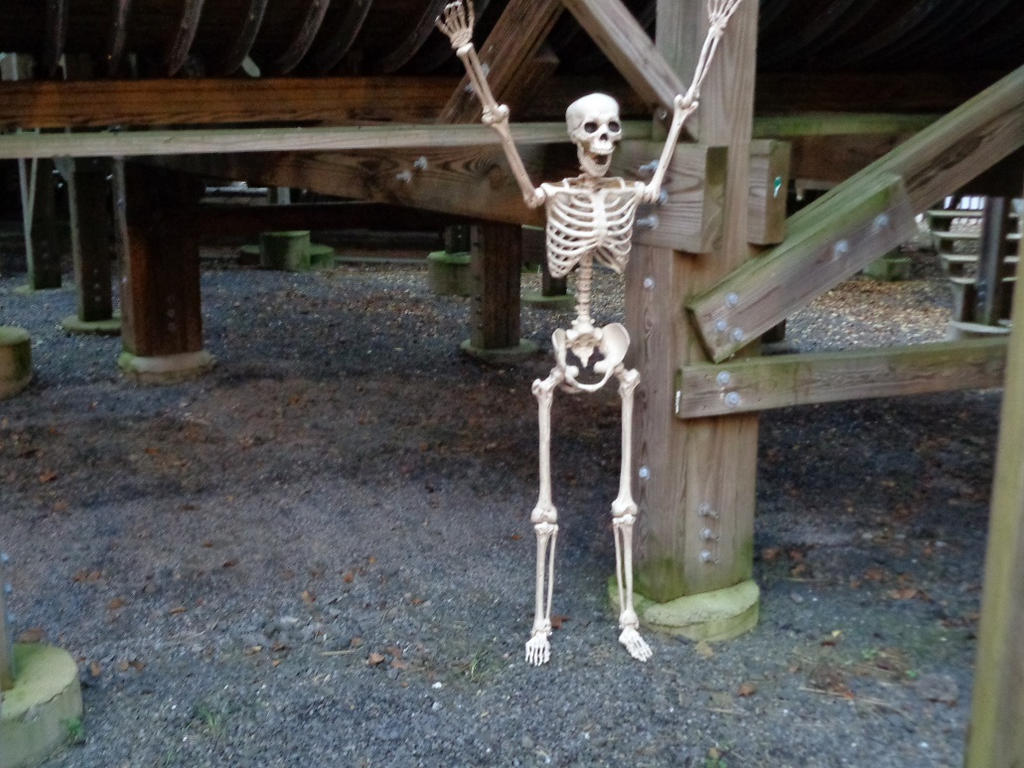 Skeleton Surrenders by creepsome on DeviantArt