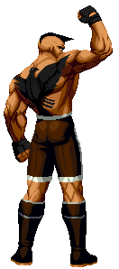 The King Of Fighters Ever: HEAVY D