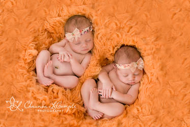 Dallas Newborn Photography by Chaunva LeCompte