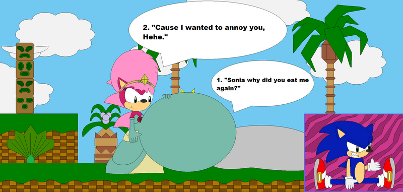 Sonia ate Sonic