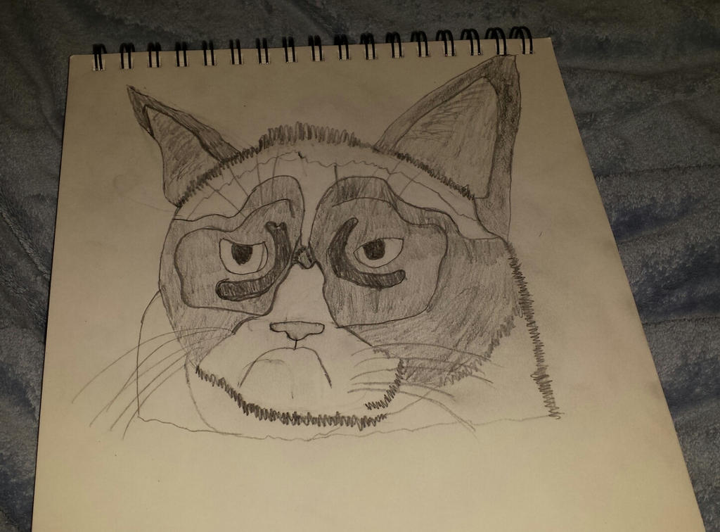Grumpy Cat Rip Deviantart Grumpycat by Bowser14456 on DeviantArt