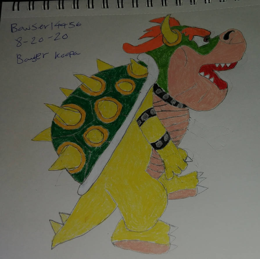 Bowser drawing