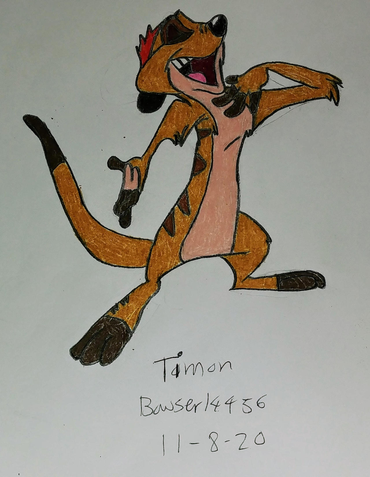 Timon drawing by Bowser14456 on DeviantArt