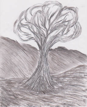 Charcoal tree