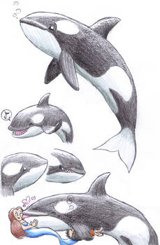 Orca