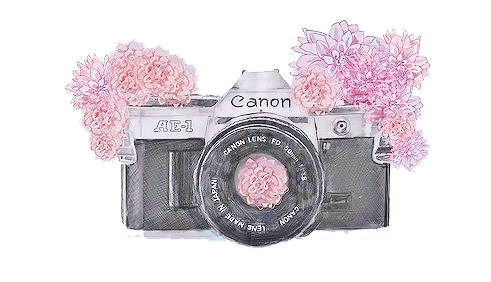 Camara PNG