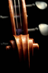 My Violin