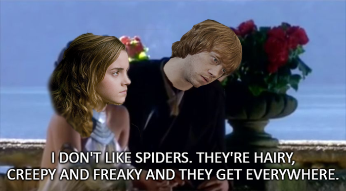 Harry Potter meme by Chartist23 on DeviantArt