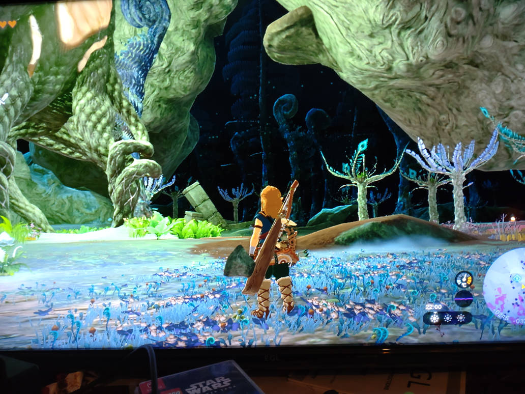 Exploring the Depths in ToTK by Chartist24 on DeviantArt