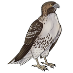 Hawk by MagnarakWeb