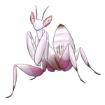 Orchid Mantis by MagnarakWeb