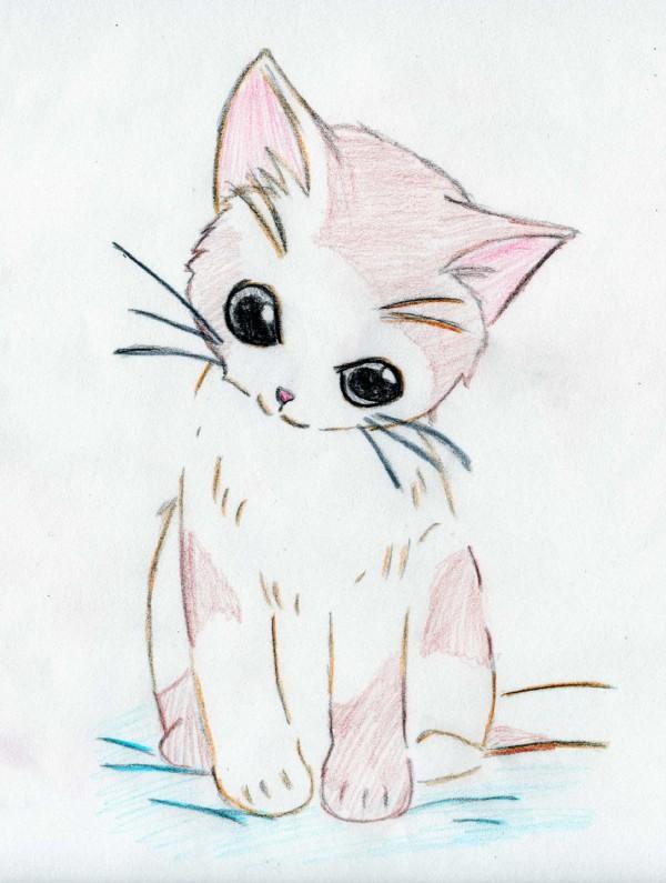 Cute anime Kitten