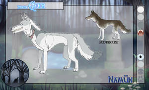 TOW: Geier application