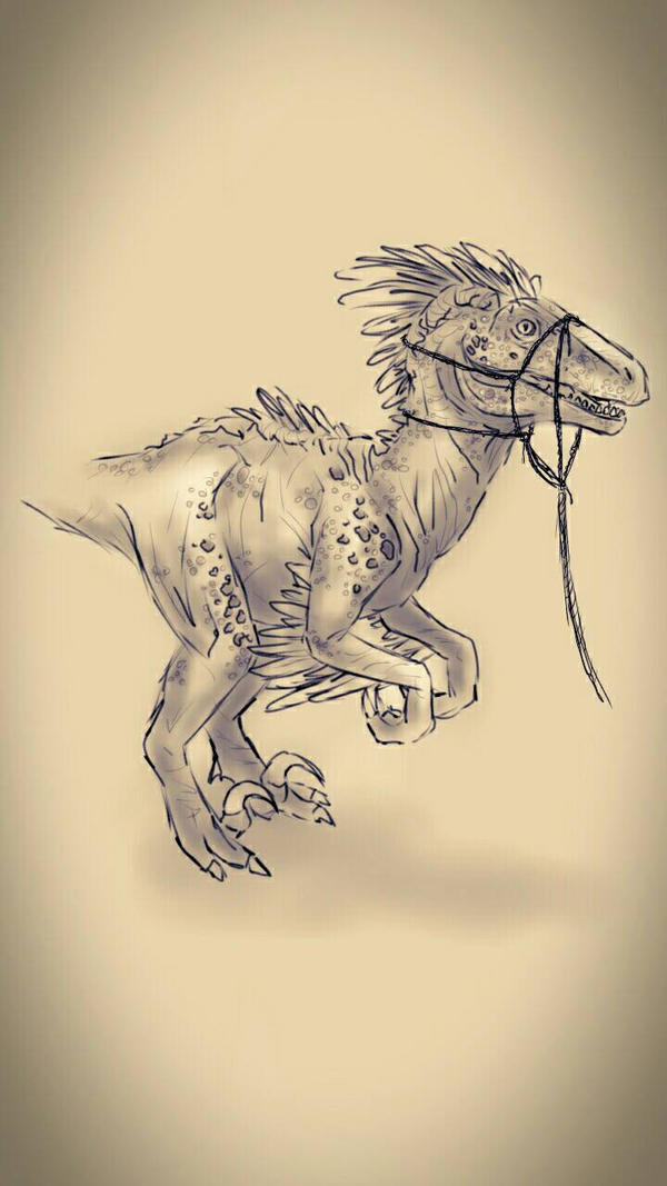 Raptor Sketch by ChefCock on DeviantArt