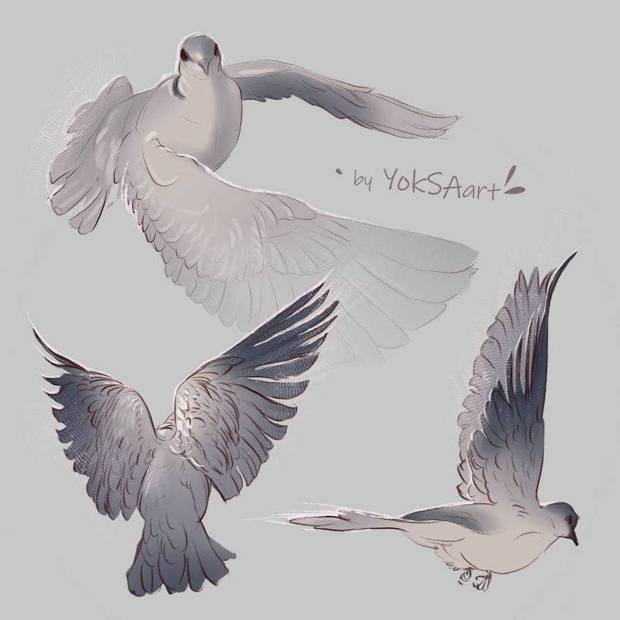 Deviantart Bird Designs Bird by YokSAart on DeviantArt
