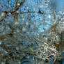 Swirly Frost 2