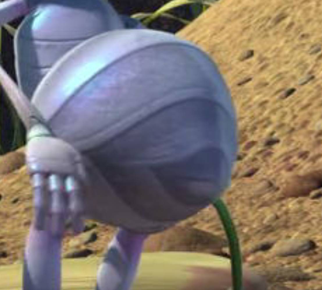 Dr Flora's Butt