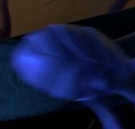 Flik's Big Booty