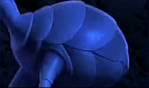 Flik's Ass 02