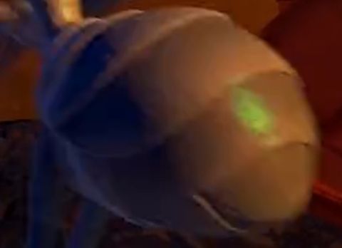 Flik's Booty 05