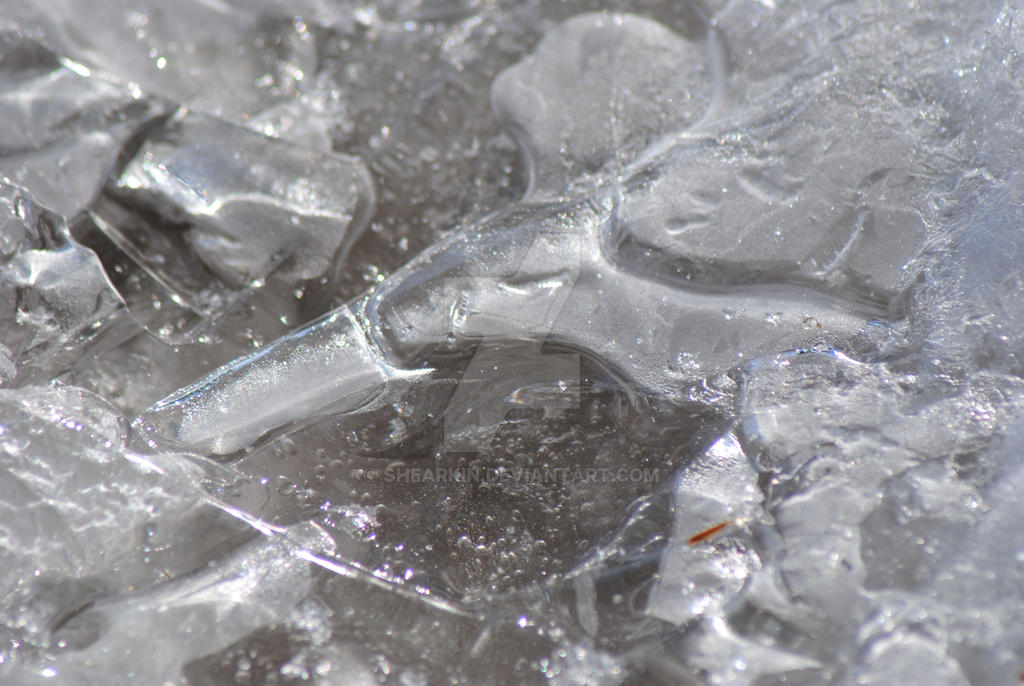 iced by Shearkin on DeviantArt