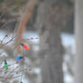 last of the lights -2025