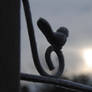 frozen bird