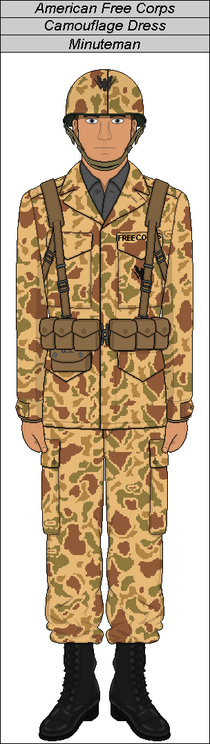 A.F.C. Minuteman (Camouflage Combat Dress) (A-H) by PieJaDak on DeviantArt