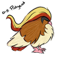 018. Pidgeot