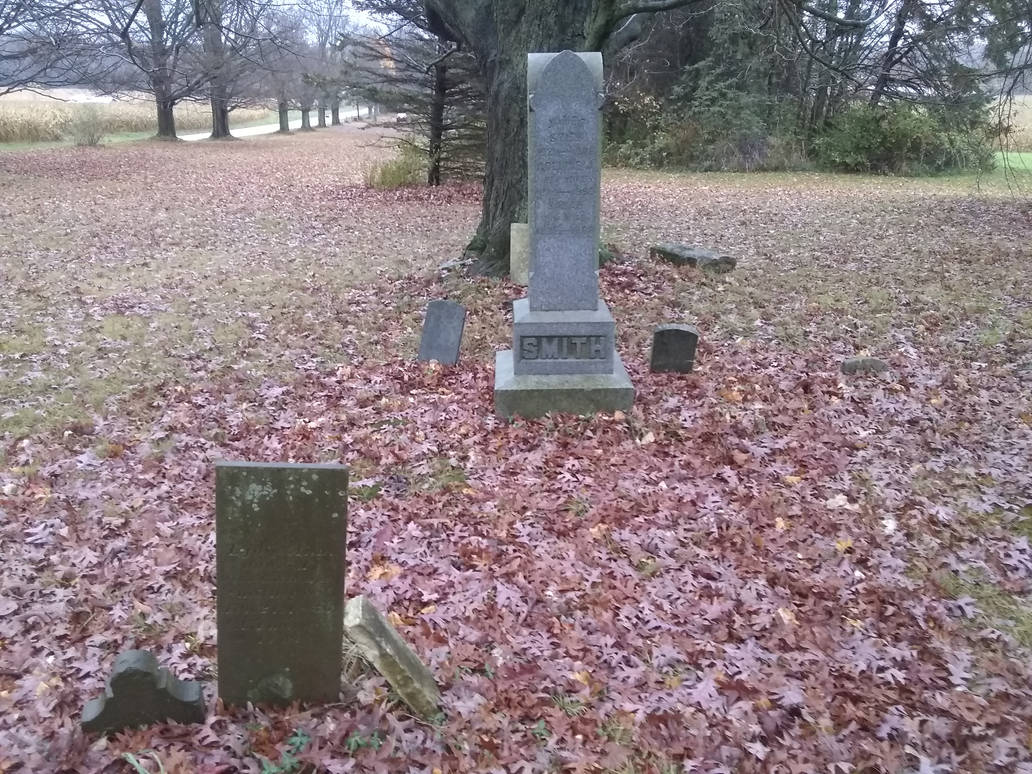 Along A Path Of Trees And Stone. Preview Two by lazarus3000 on DeviantArt