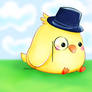 M'birdy