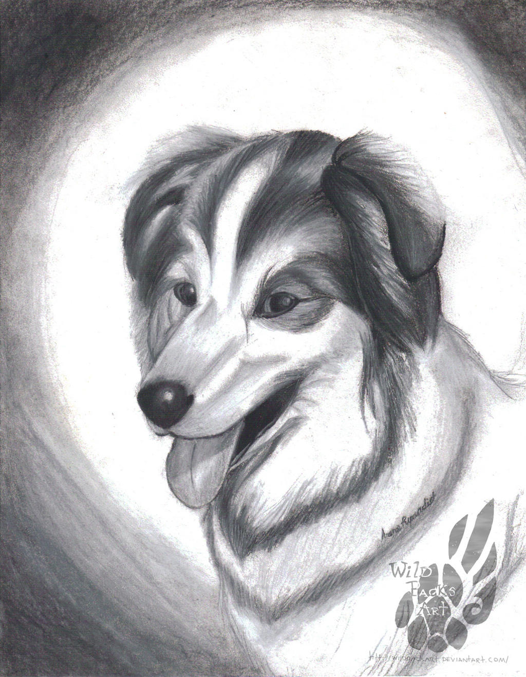 Charcoal Drawing: Realistic Dog