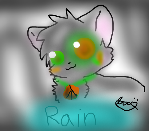 Rain---gift