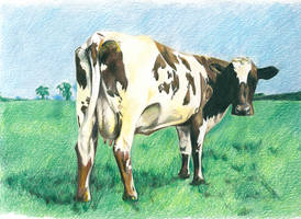 Atom heart mother