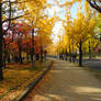 Osaka Castle Park