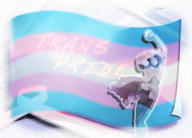 Transgender Pride Flag by ImAMuseD on DeviantArt