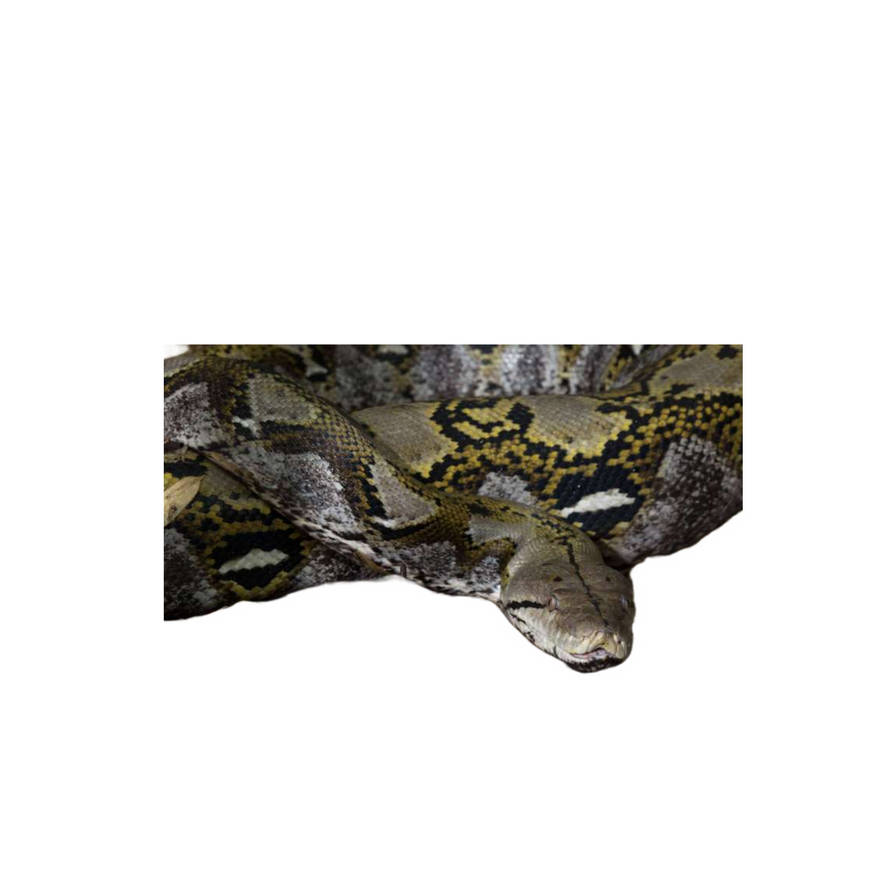 Mario Render by Kole575767 on DeviantArt