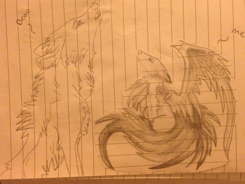 Two Wolves Drawing Base Two wolves by SaoirseGenfox on DeviantArt