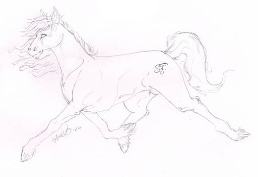 Horsey sketch