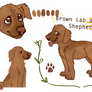 Lab Custom