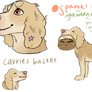Spaniel Mix Adopt