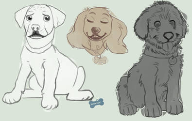 Puppy sketches