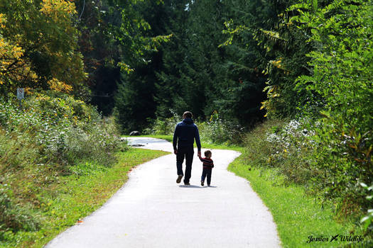 A Autumn Walk In The Park