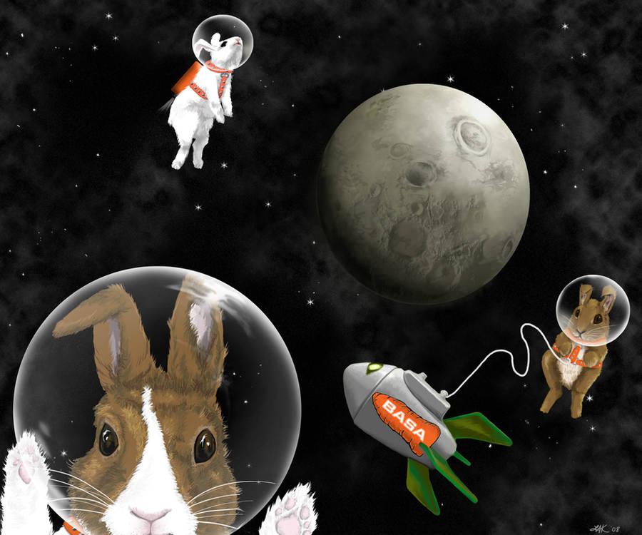 Bunnies in Space by LeeAnneKortus