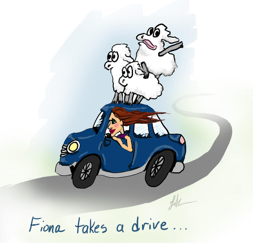 Driving Sheep