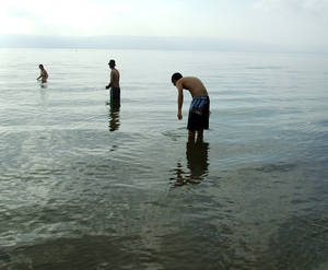 Morning Swim