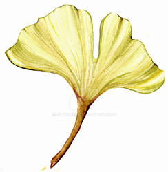 Gynko Leaf