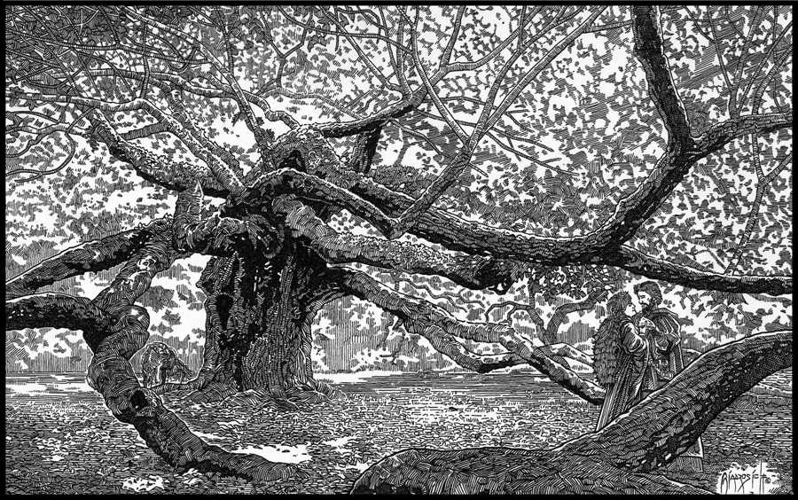In the Heart of Sherwood by giadrosich
