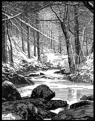 Winter in Sherwood Forest