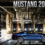 Web Theme Mustang